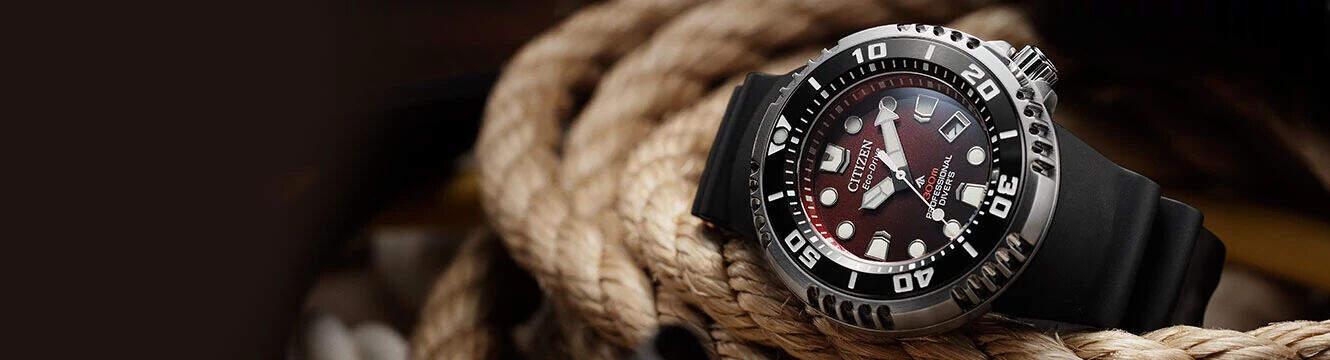 Citizen Watch with durable black strap and sophisticated design.